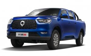 Great Wall Pao Commercial '2019